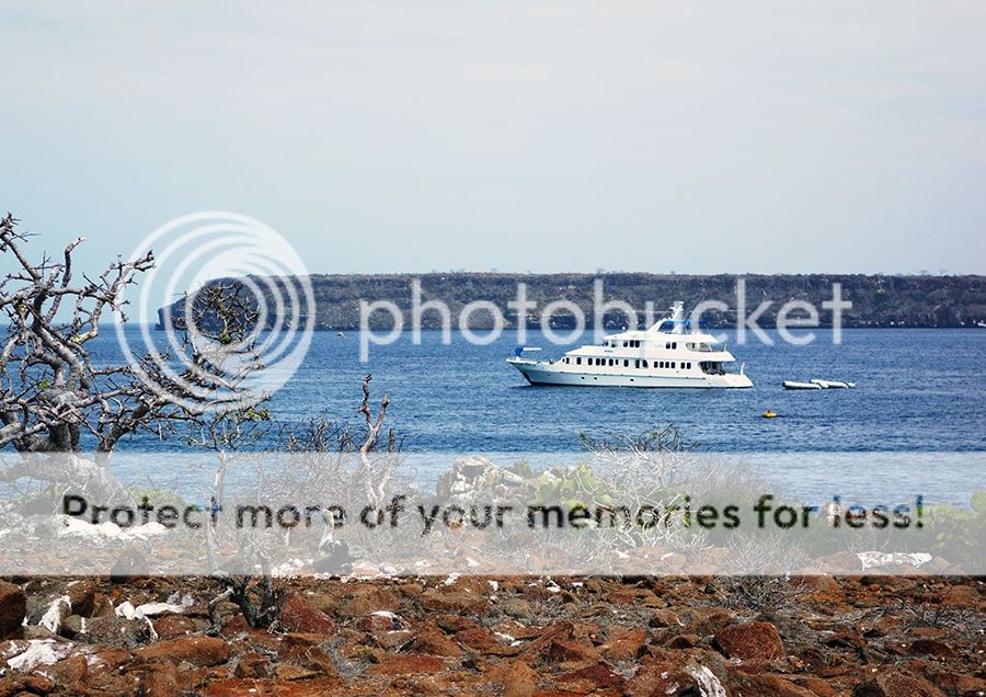 Южная Америка. Фотографии. Путевой дневник в режиме реального времени.