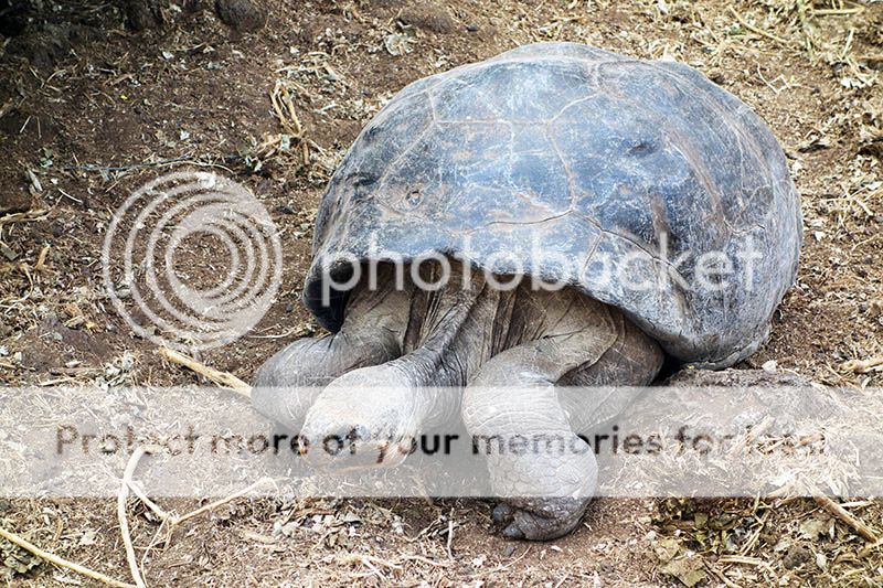 Южная Америка. Фотографии. Путевой дневник в режиме реального времени.