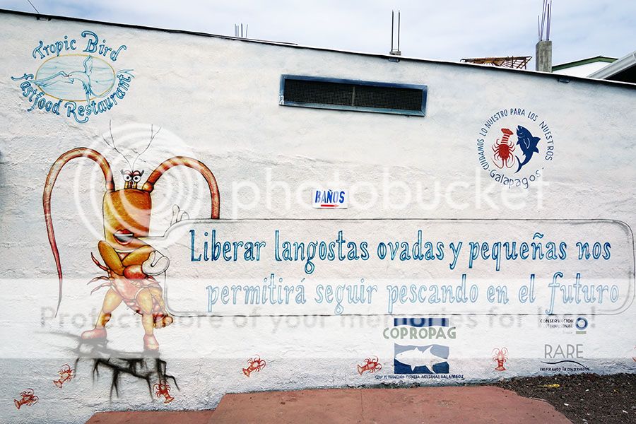 Южная Америка. Фотографии. Путевой дневник в режиме реального времени.