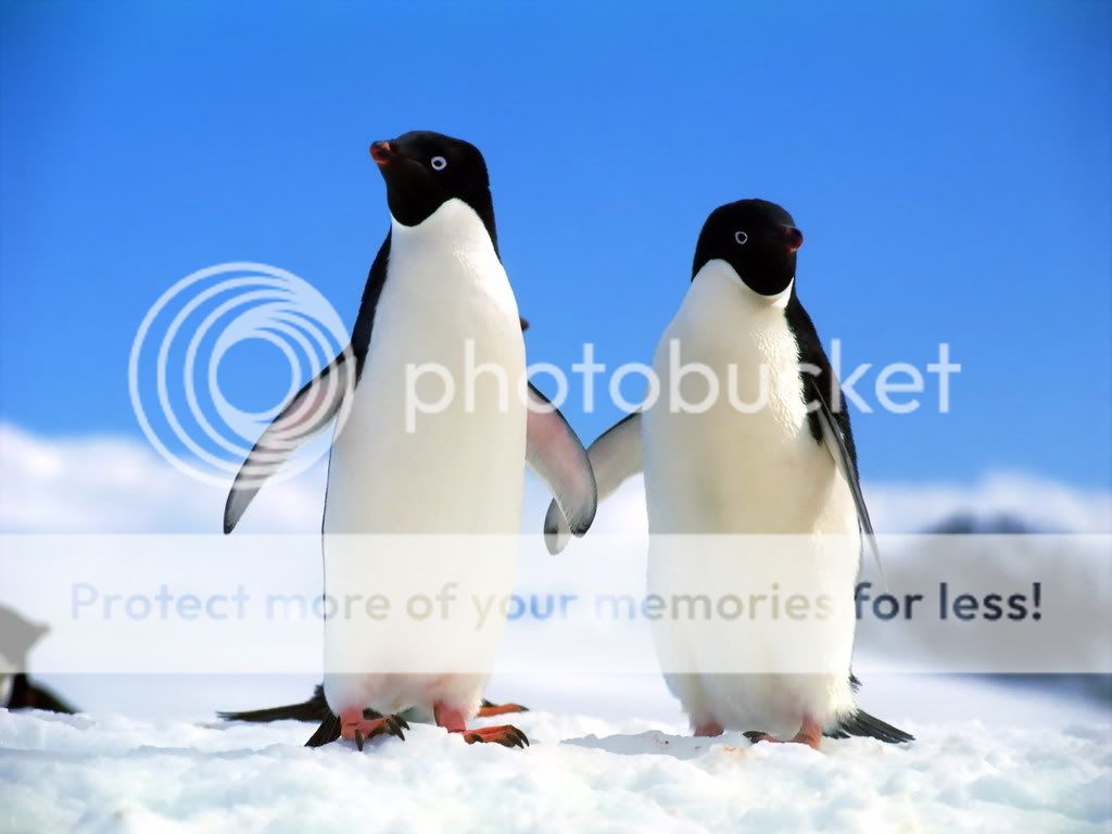 42167_poster2000.jpg