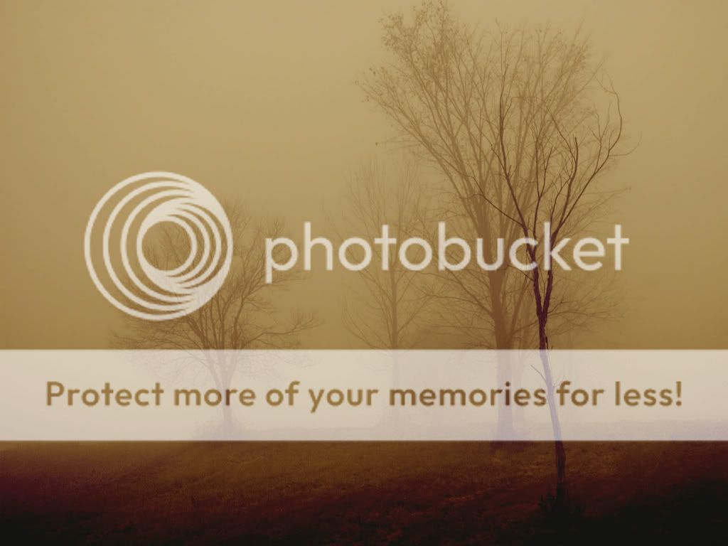 WallpapersMania_vol30-028.jpg