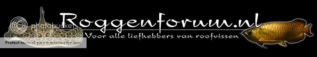 Roggenforum.nl