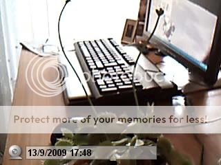 Picture17.jpg