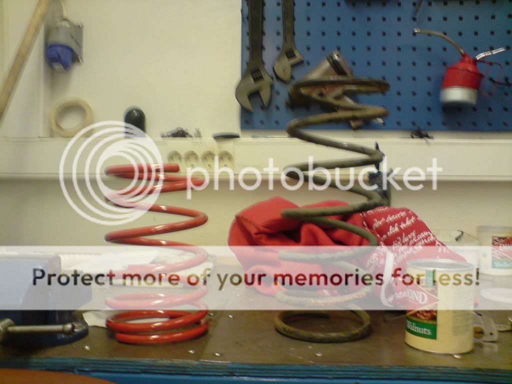 DSC01170.jpg?t=1224170059