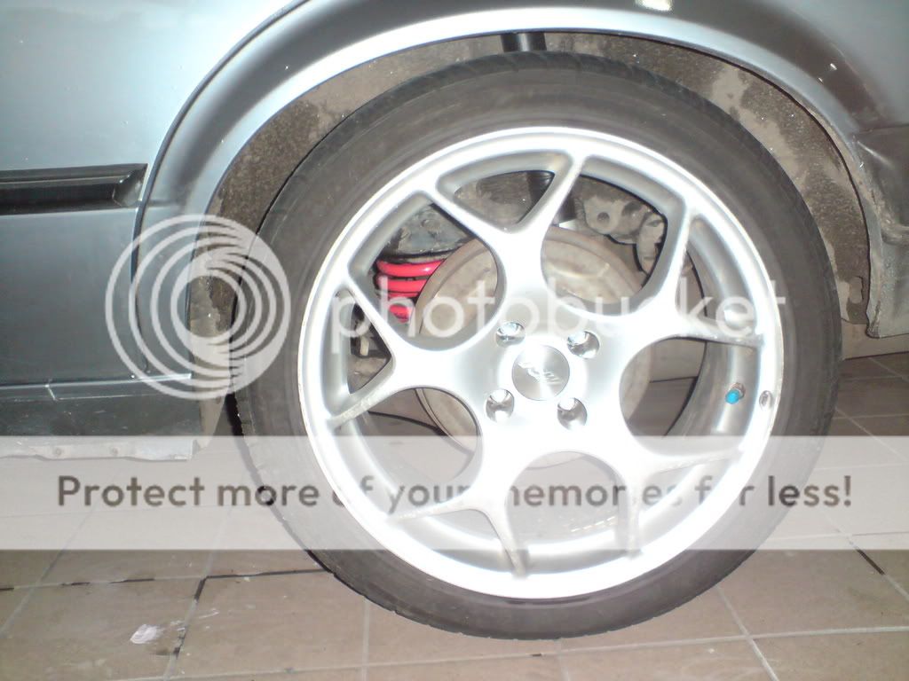 DSC01175.jpg?t=1224170100